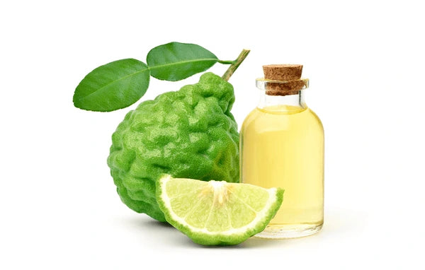 The Ritz - Essential Oil Blend 10 ml